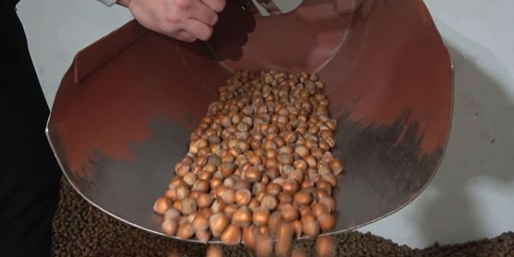 Giresun Ticaret Borsası Meclis Üyesi Kankaya: “Fındık piyasasında önümüzdeki dönemde fiyatların sabit kalacağı öngörülüyor”