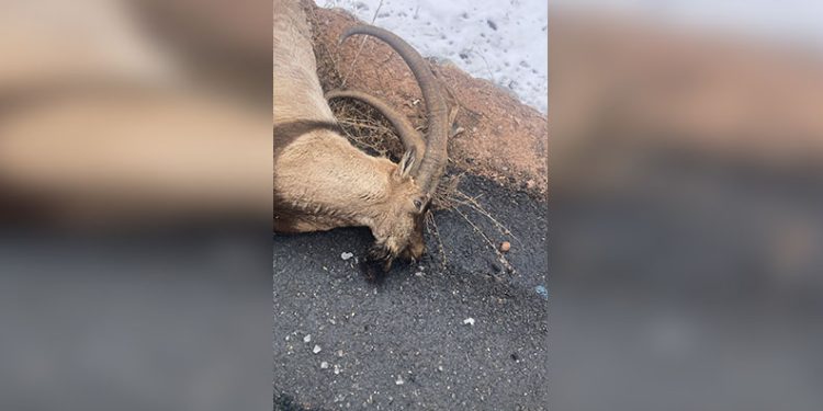 Karadeniz Ereğli’de operasyonda 1 kilogram uyuşturucu ele geçirildi