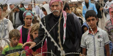 Kaçakları ülkeye sokan 4 organizatör yakalandı