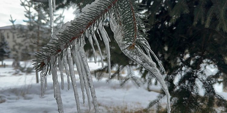 Ağrı’da dondurucu soğuklar etkili oluyor