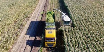 Tarım-ÜFE yıllık yüzde 37,01 arttı