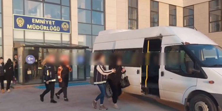 Sinop’ta ölüme terk edilen köpekler kurtarılmayı bekliyor