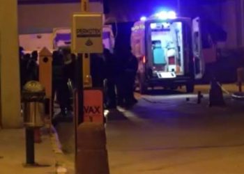 Kuyucak’ta köpek dövüşüne jandarma baskını: 3’ü organizatör, 52 şahıs yakalandı