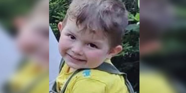 Erzincan’da çok sayıda silah ele geçirildi