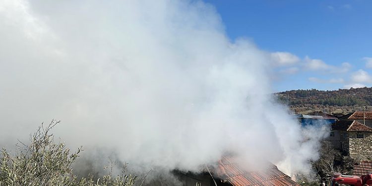 Antalya’da 1 haftada 448 şahıs yakalandı
