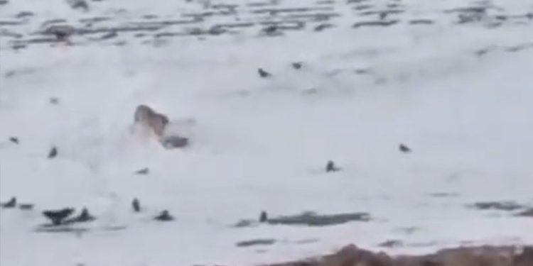 Cumhurbaşkanı Erdoğan Ruanda açıklaması