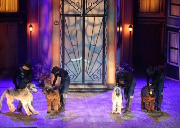 “Şebo Müzikali” sokak hayvanlarının sesi oldu