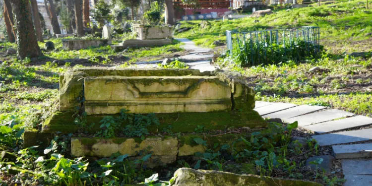 Tarihi mezarları gün yüzüne çıkarılıyor