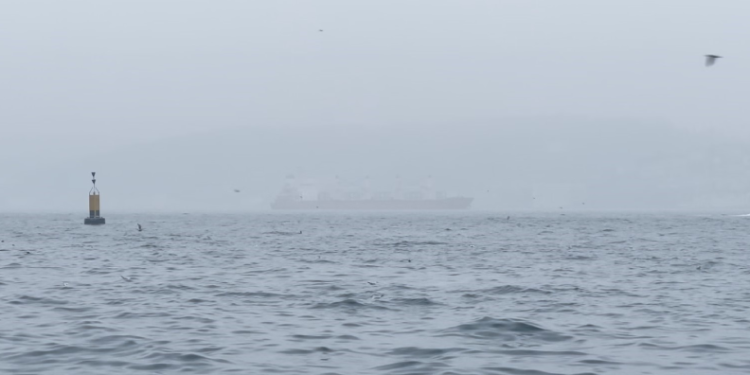 İstanbul Boğazı’nda sis etkili oluyor