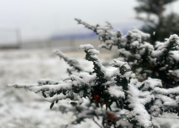 Kayseri’de kar yağışı ve sis etkili oldu