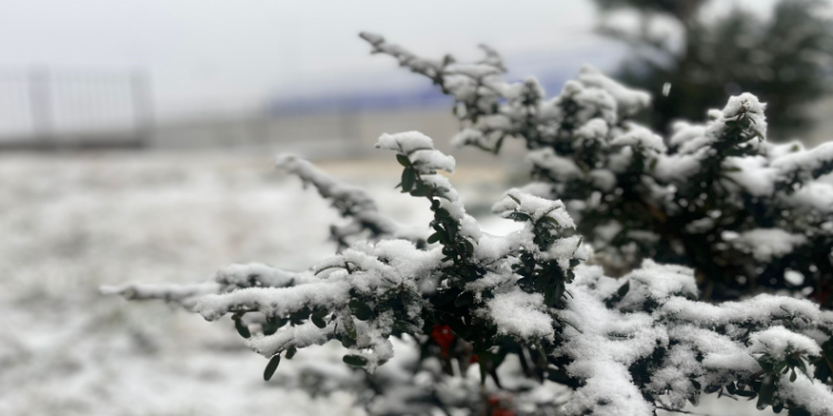 Kayseri’de kar yağışı ve sis etkili oldu