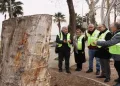 Yalova’da tarihi anıt ağaçlar incelendi