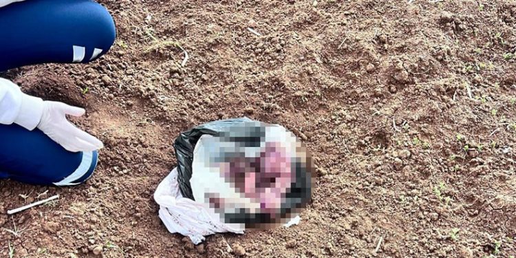 Şırnak’ta bebek cinayetine 2 tutuklama