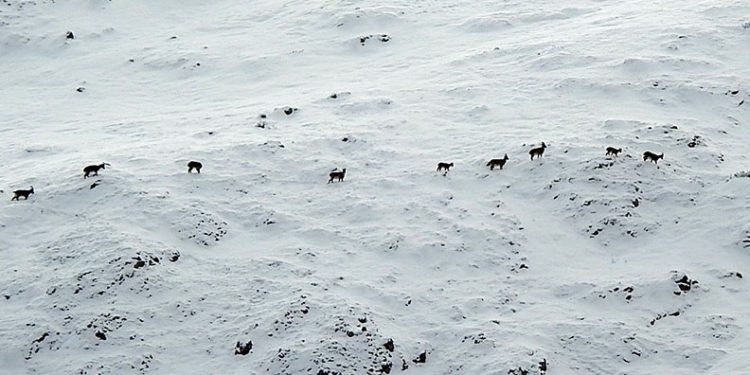 “Yüksekten mi uçuyordu, tam olarak bilmiyoruz”