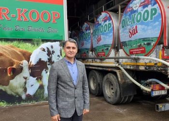 Mardin’de kamyon ile kamyonet çarpıştı: 1 ölü