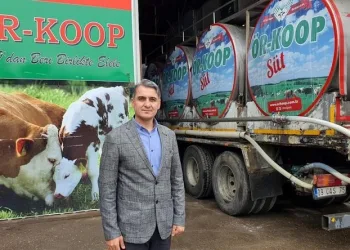 Mardin’de kamyon ile kamyonet çarpıştı: 1 ölü