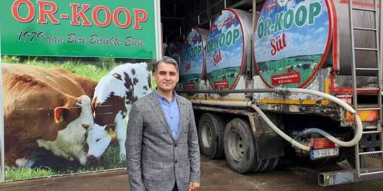 Mardin’de kamyon ile kamyonet çarpıştı: 1 ölü