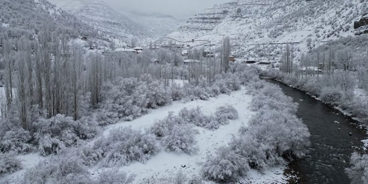 Bal ormanlarında kış güzelliği havadan görüntülendi