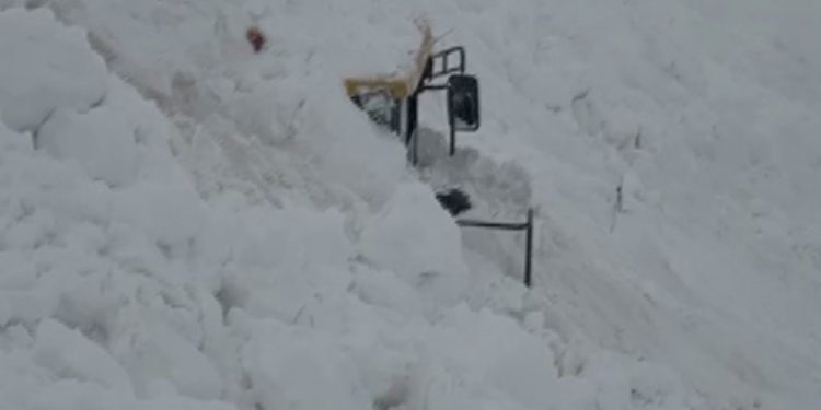 Şırnak’ta iki günde ikinci çığ düştü