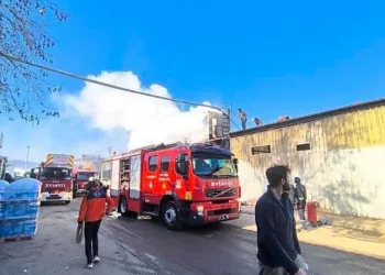 Yalova’da ahşap ürünleri üretim tesisinde korkutan yangın