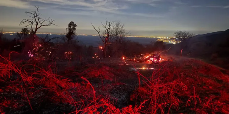 Yalova’da orman yangını