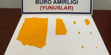 Cep telefonu kılıfından kağıda emdirilmiş uyuşturucu çıktı