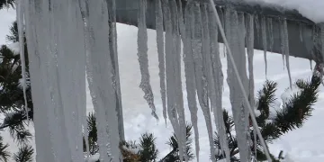 Ardahan’da kilitler bile dondu