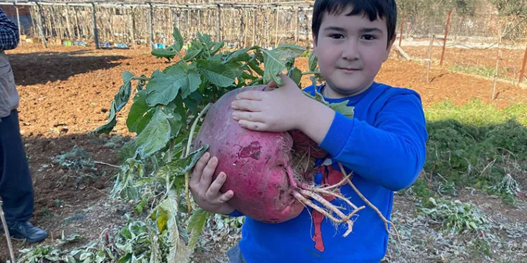 6 kilo 700 gram dev turp görenleri şaşırtıyor
