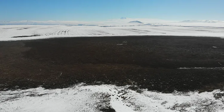 Kuyucuk Kuş Gölü bataklığa döndü
