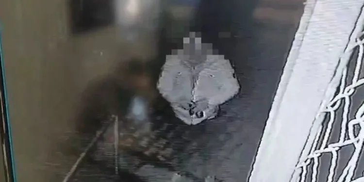 Biri okul kamerasını diğeri sadaka kutusunu çaldı