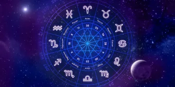 Her Burcun Kariyer Yolu