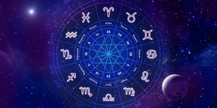 Her Burcun Kariyer Yolu