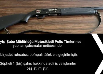 Bingöl’de ruhsatsız tüfek ele geçirildi