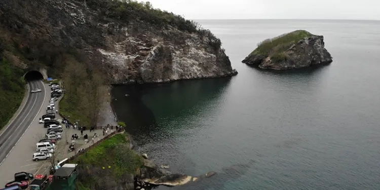 Ordu’nun ‘kuş cenneti’ ziyaretçilerini ağırlıyor