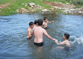 Titreye titreye gölette yüzdüler