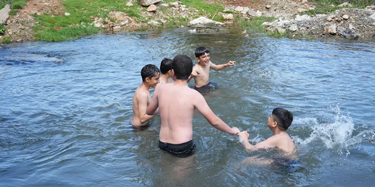 Titreye titreye gölette yüzdüler