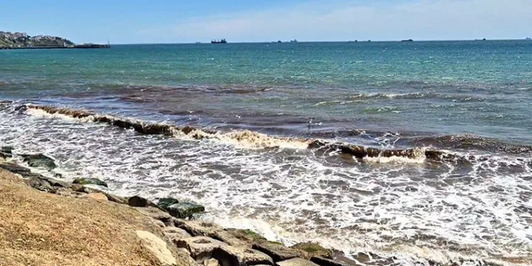 Tekirdağ’da poyraz sonrası deniz yüzeyi kızıl yosunla kaplandı