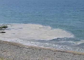 Yalova kıyılarında müsilaj görüldü