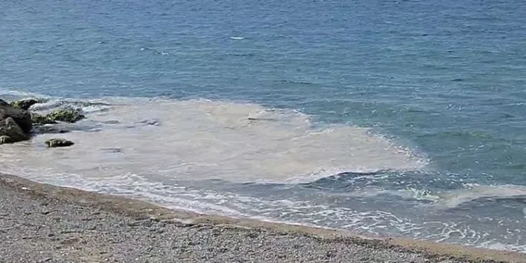 Yalova kıyılarında müsilaj görüldü