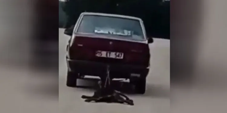 Burdur’da köpeği aracının arkasında sürükleyen şahıs tutuklandı