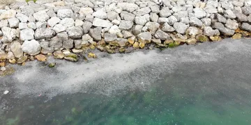 Moda Sahili’ni denizanası bastı