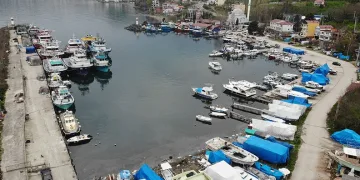 Ordulu balıkçılar: “Çok bereketli bir sezon geçirdik”