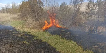 Darende’de sazlık yangını