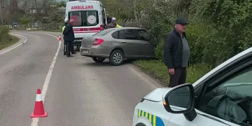 Sokak köpeklerine çarpmamak için kaza yaptı: 2 yaralı