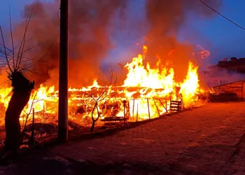 Bursa’da bir köye panik yaşatan yangın
