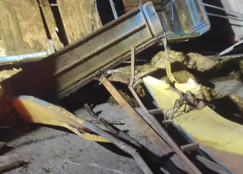 Bingöl’de kurbanlıkları taşıyan tır devrildi