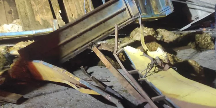 Bingöl’de kurbanlıkları taşıyan tır devrildi