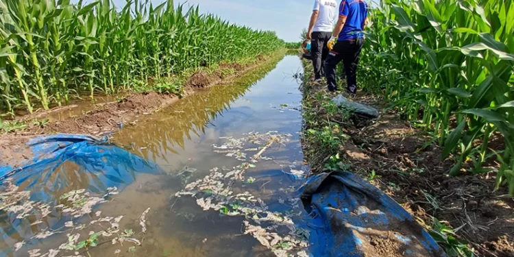 Tarla sulamaya gitti ölü olarak bulundu