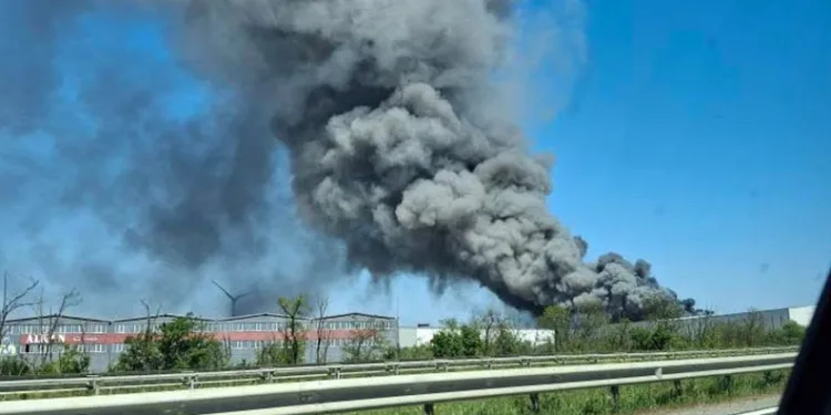 Tekirdağ’da fabrikada yangını