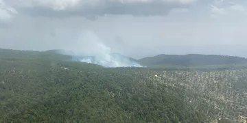 Aydın’da orman yangını